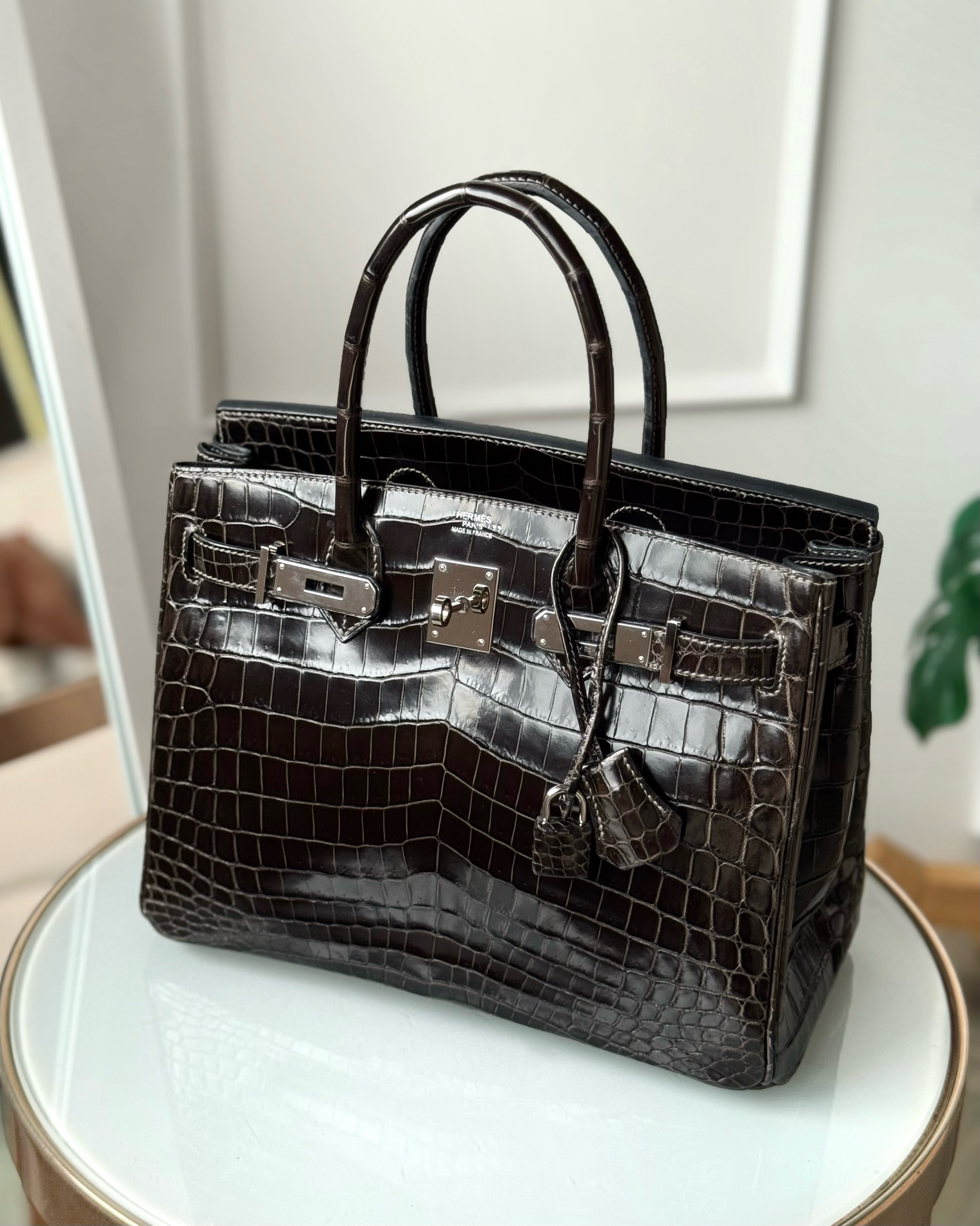 Celine Triomphe Canvas